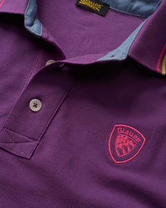 Blauer Polo con Righe